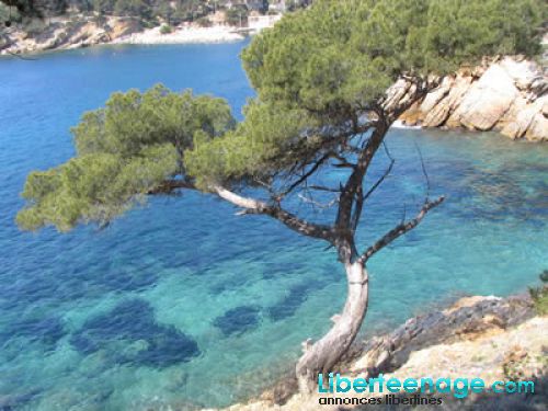 Offre vacance dans villa a la plage